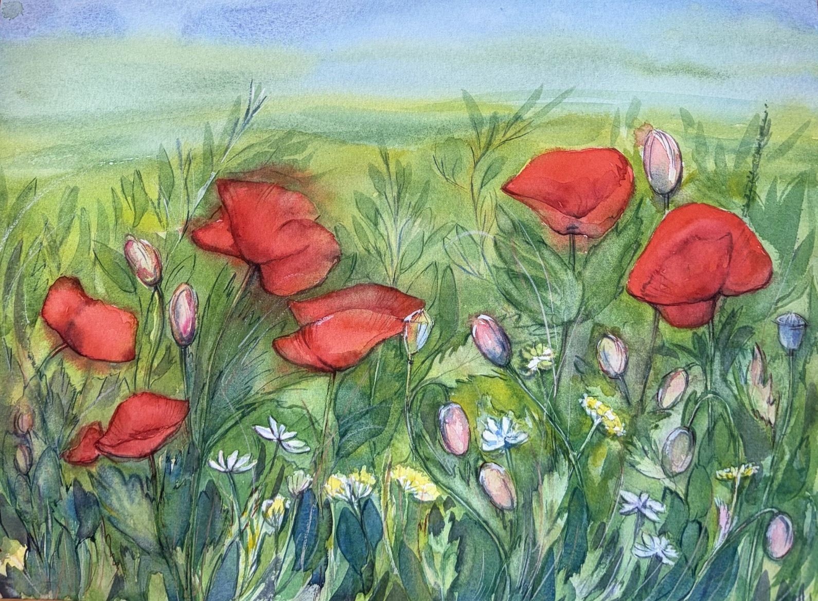 Original Watercolor Poppy Meadow Painting, Red Wildflowers Landscape Floral Art