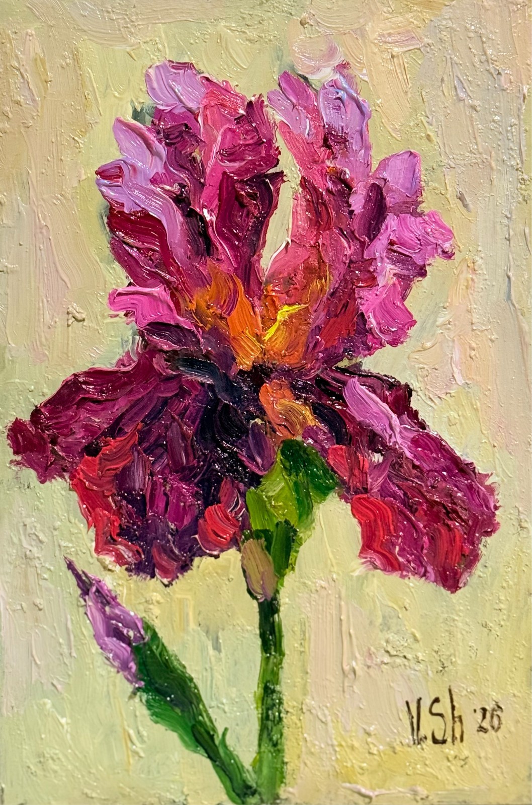 Original Oil Painting Irises Flowers Spring Impressionist Still Life Art Signed