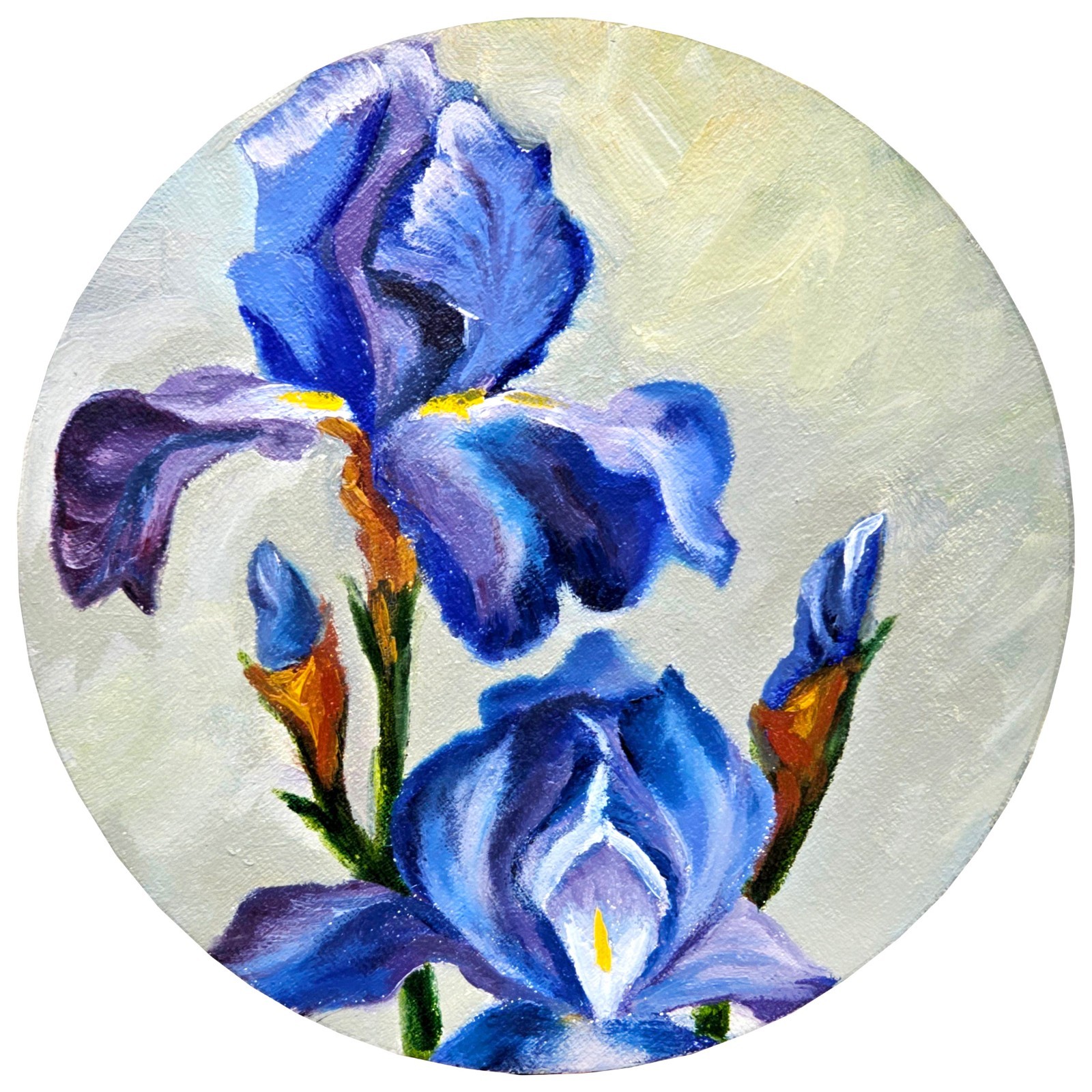 Original Oil Painting Iris Flowers Floral Botanical Art Round 6 Inch Canvas
