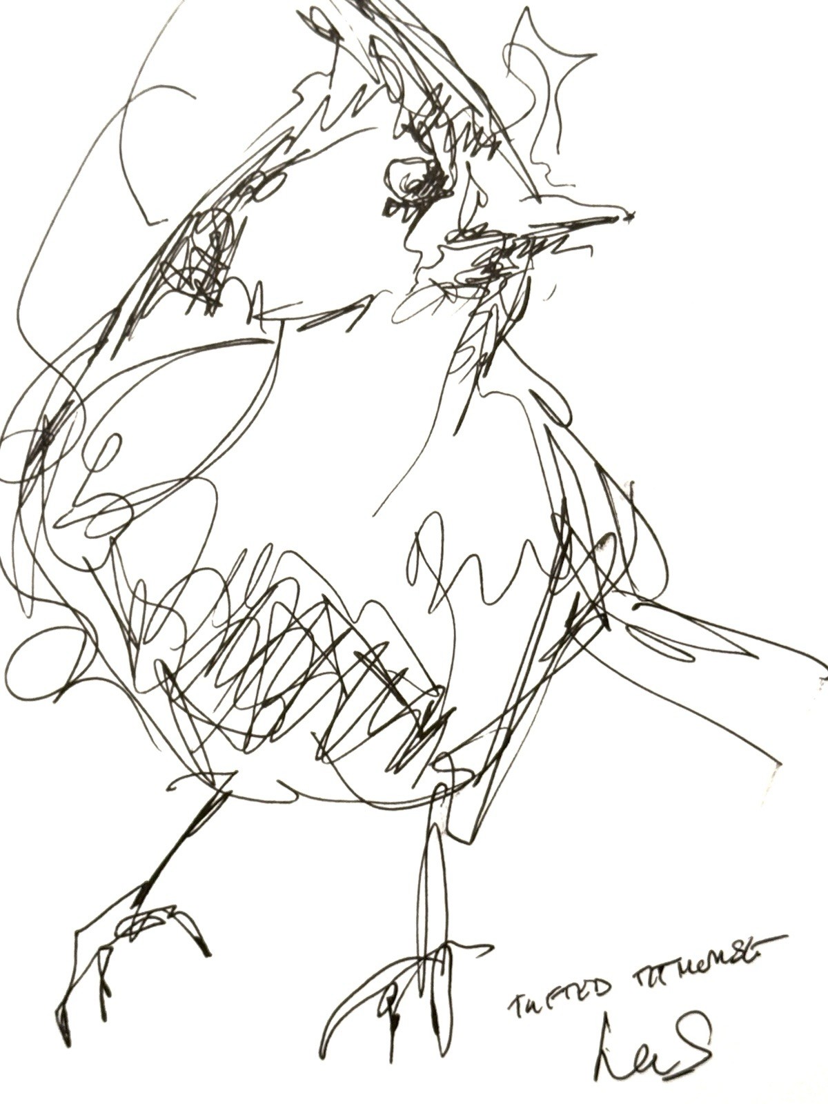 Original Abstract Expressive 9X12 Paper Pen and Ink Bird Handmade Signed 12