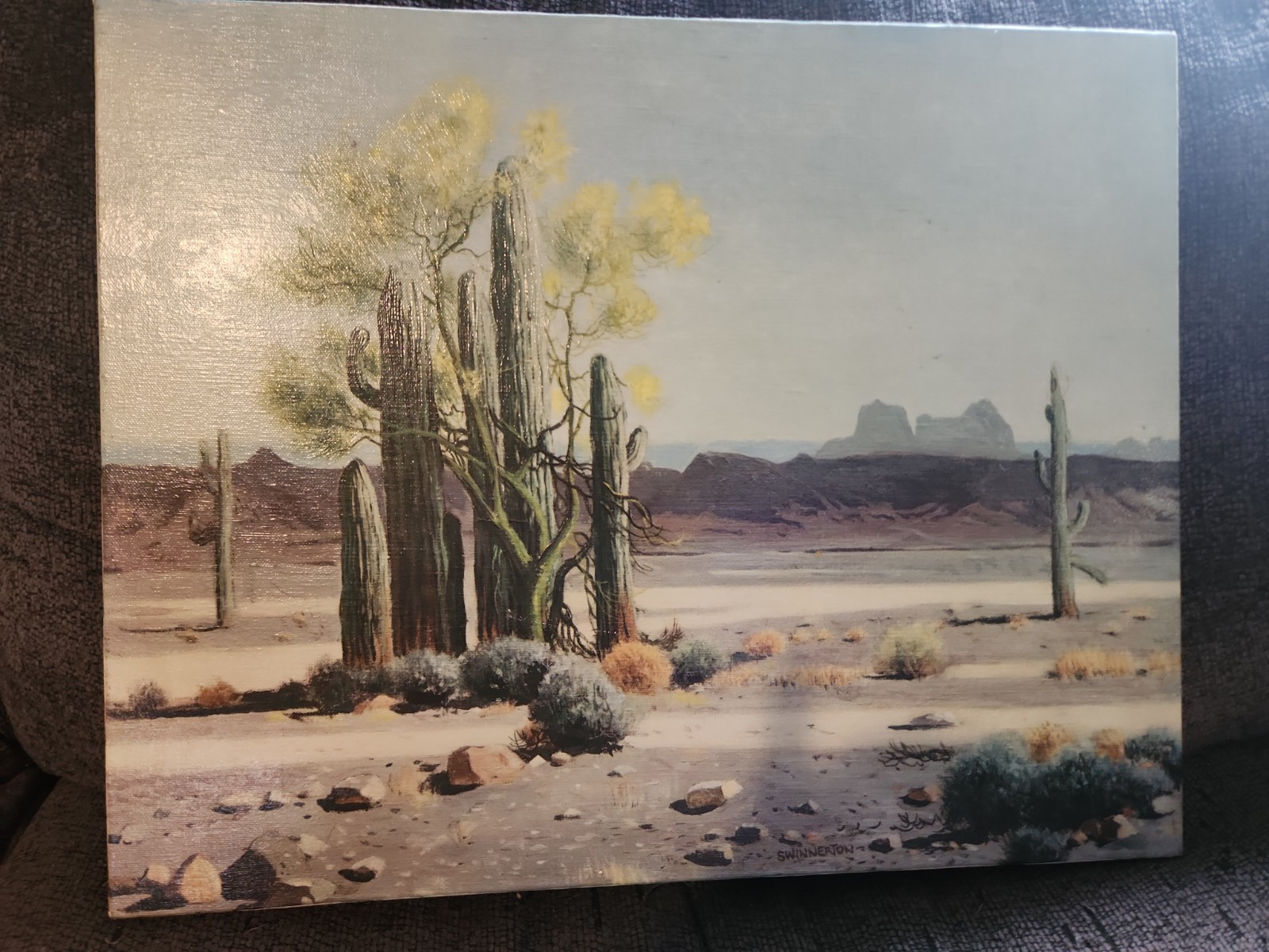 Swinnerton Signed Oil Painting Canvas Desert Cactus Landscape Realism Medium