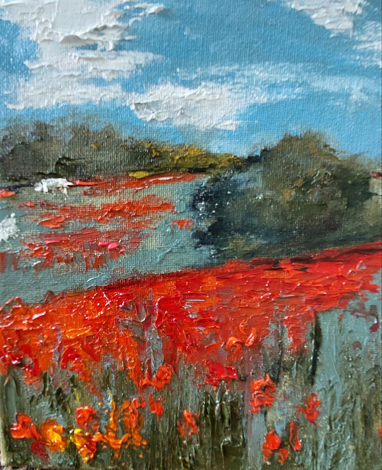 Oil original painting on canvas 10×8 inches Poppy field