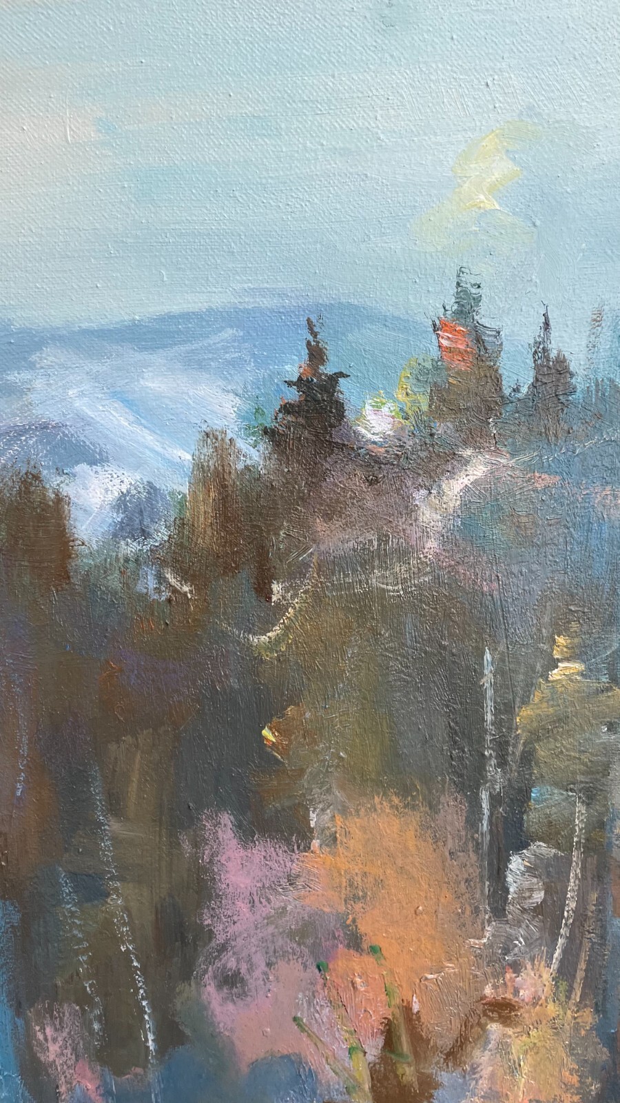 Oil painting Mountains Ukrainian painter Canvas Framed Decor original landscape