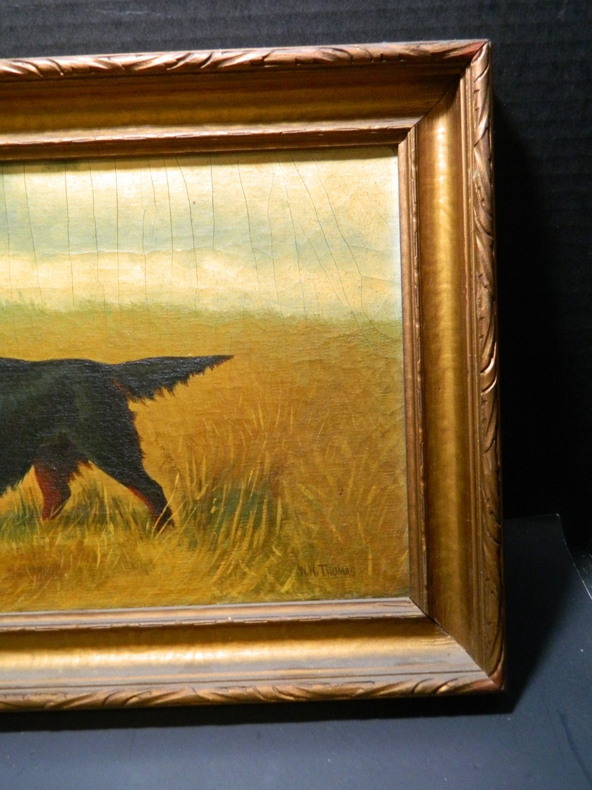 Antique Framed Gordon Setter Pointing Oil On Canvas Signed W.H. Thomas 16.75″ VG