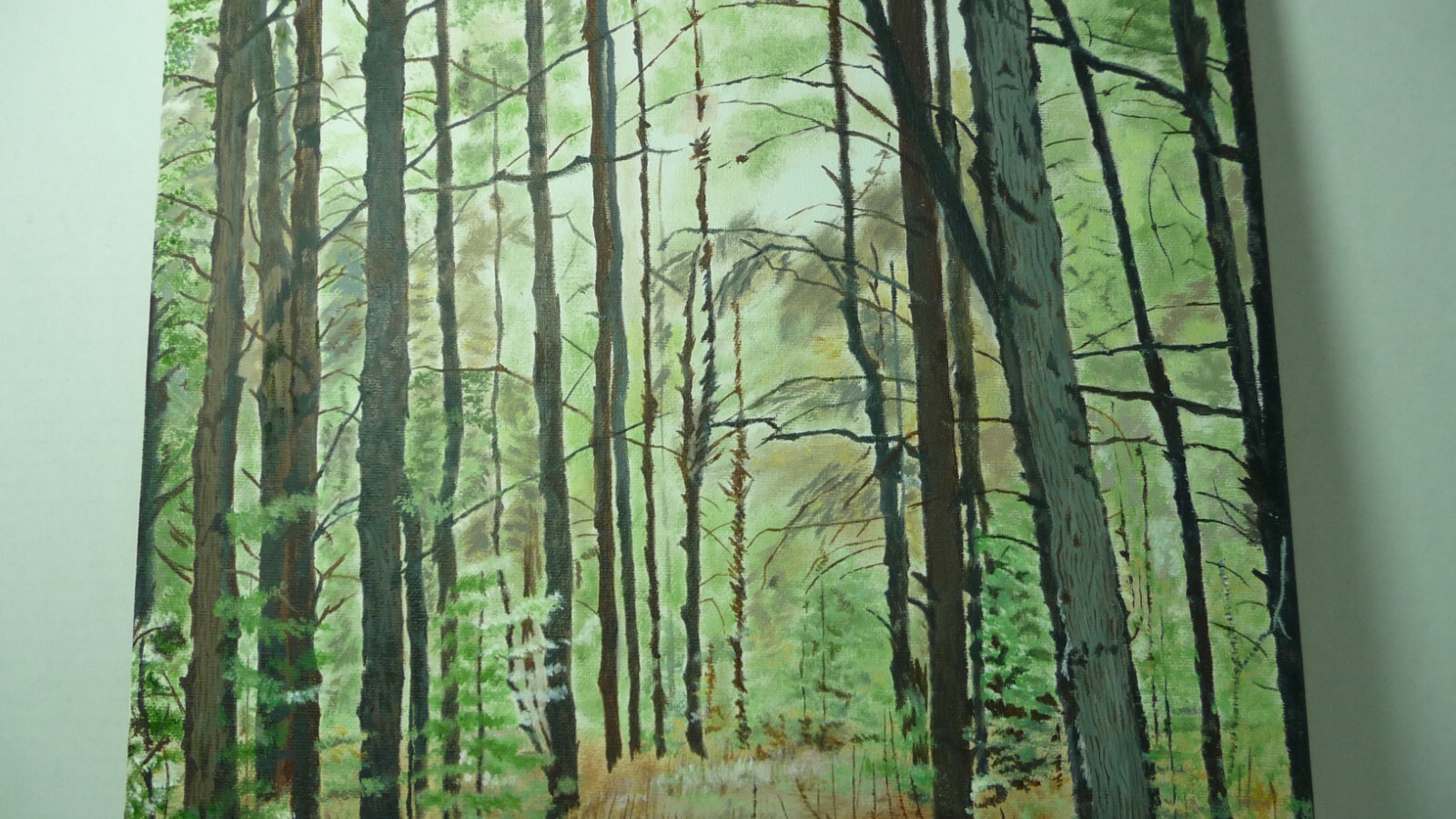 Oil Painting 16×12 Landscape By Catherine Johnston Silence Amongst The Trees 02