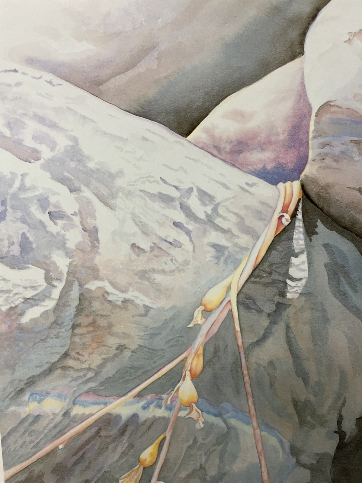 Cabrillo «After The Storm»1986 California Signed Linda Gunn 28.5″X20»