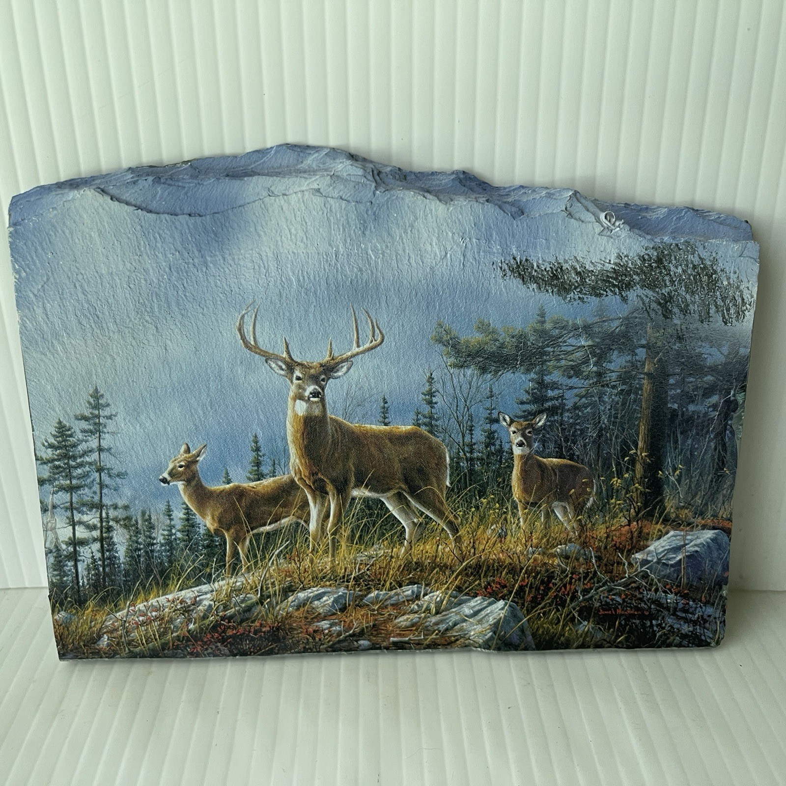 James Hautman Autumn Whitetails Wildlife Painting Natural Slate Deer Vintage