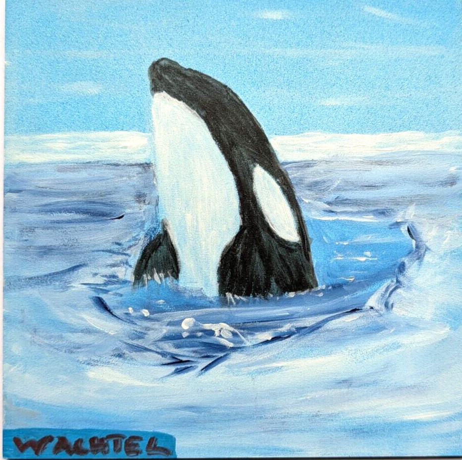 Original 6×6 Orca Killer Whale Art Board Wildlife Painting Signed Blue Wachtel