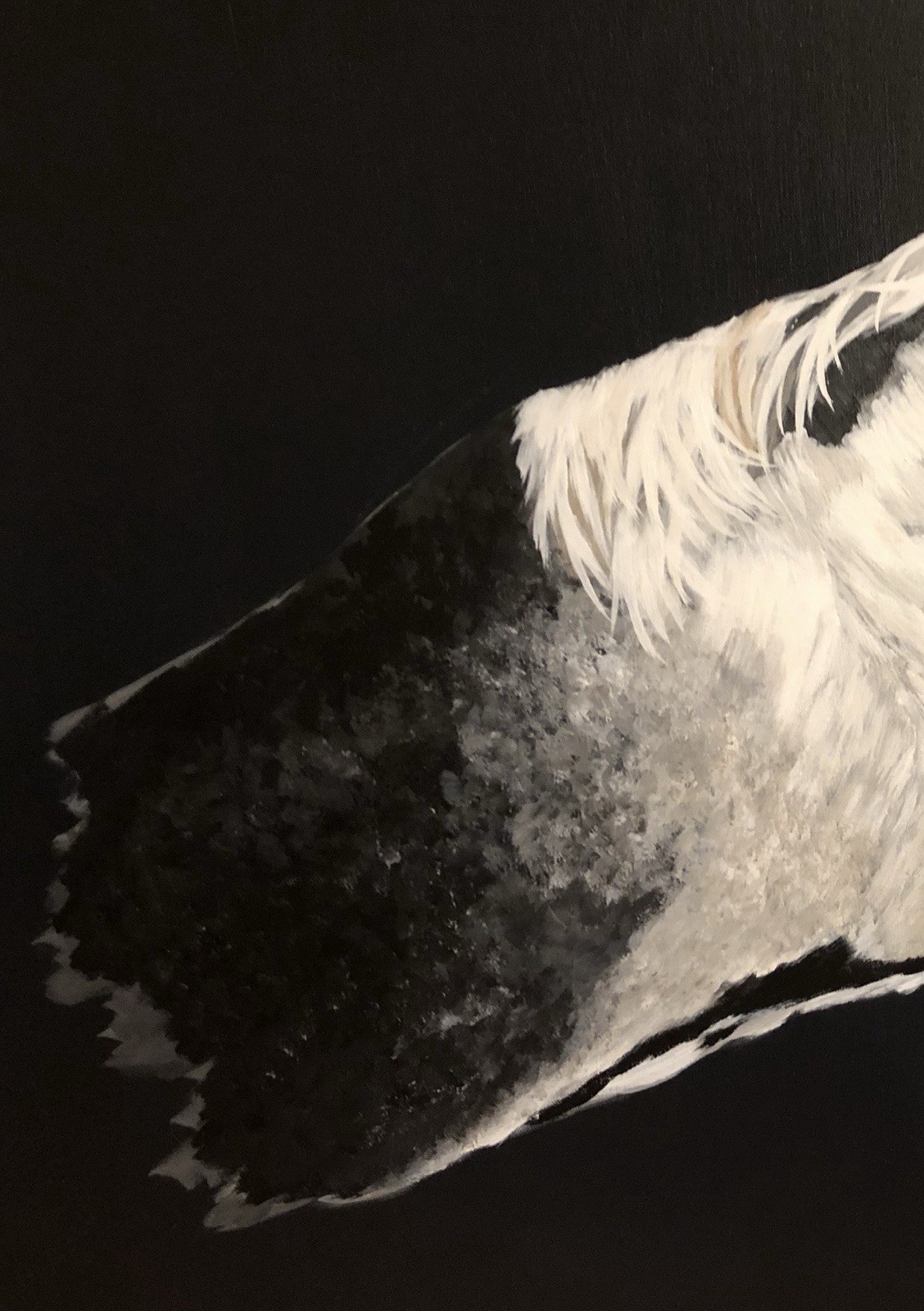 Horse-original Painting Canvas By Arkansas Artist Leah j Smith