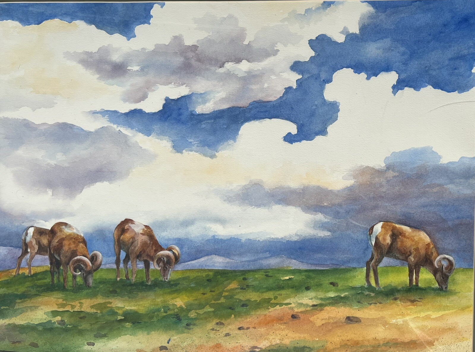 Watercolor Painting of Rocky Mountain Bighorn Sheep By Karla Runquist Framed