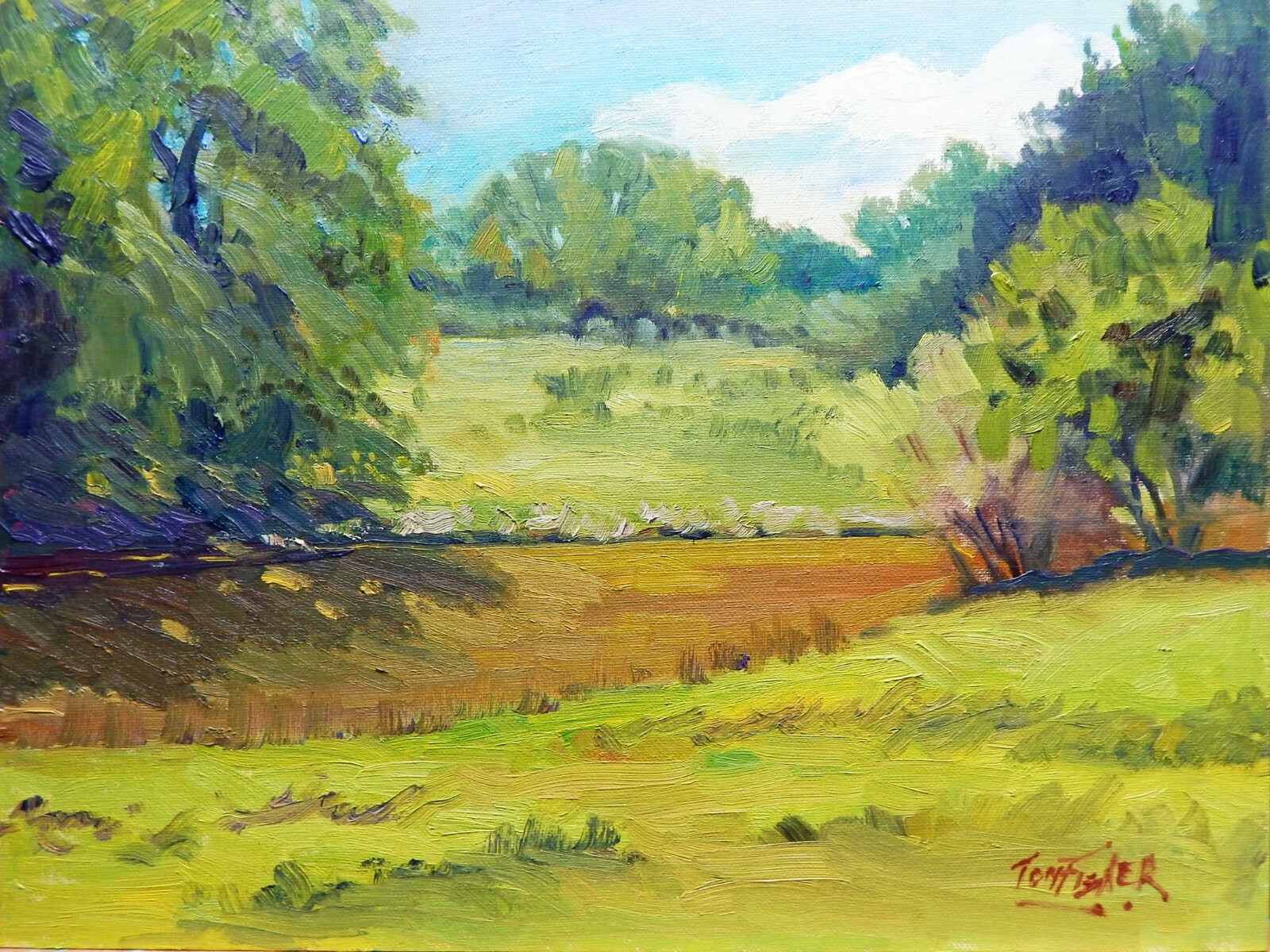 Texas Hill Country Nevada creek river Landscape Original Oil Painting