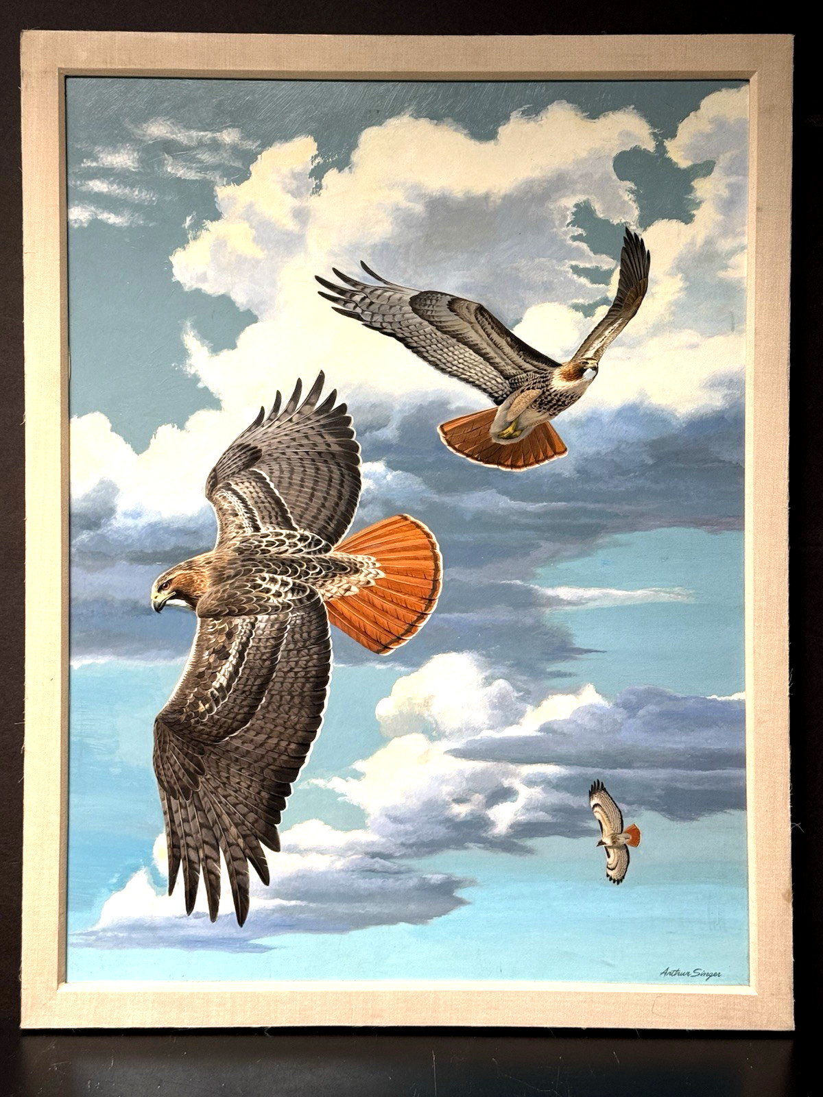 Arthur Singer Original Bird Art Painting – Red-tailed Hawks, c1966-1968, Signed