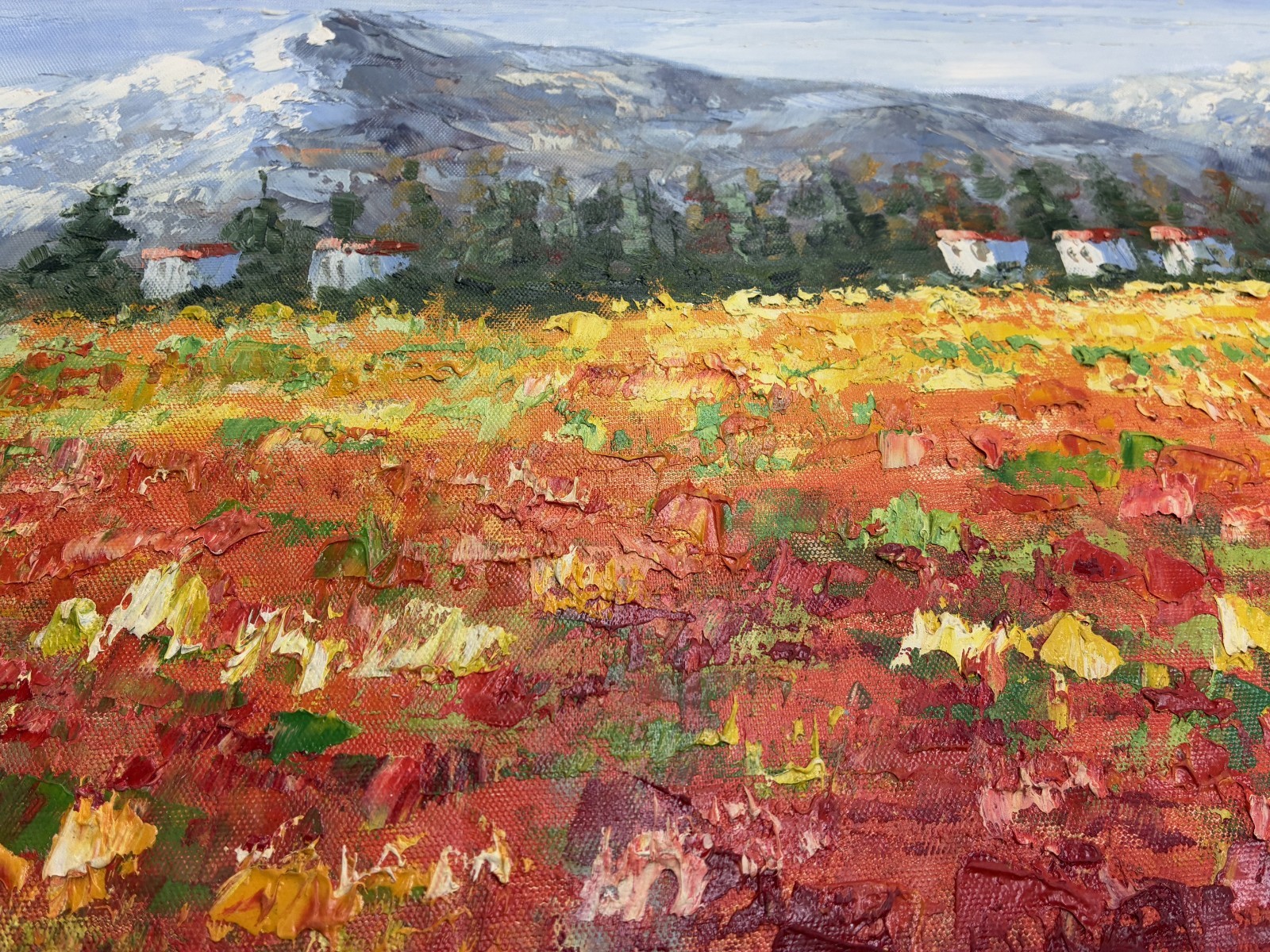 *Poppy Field with mountains* original hand painted on Canvas