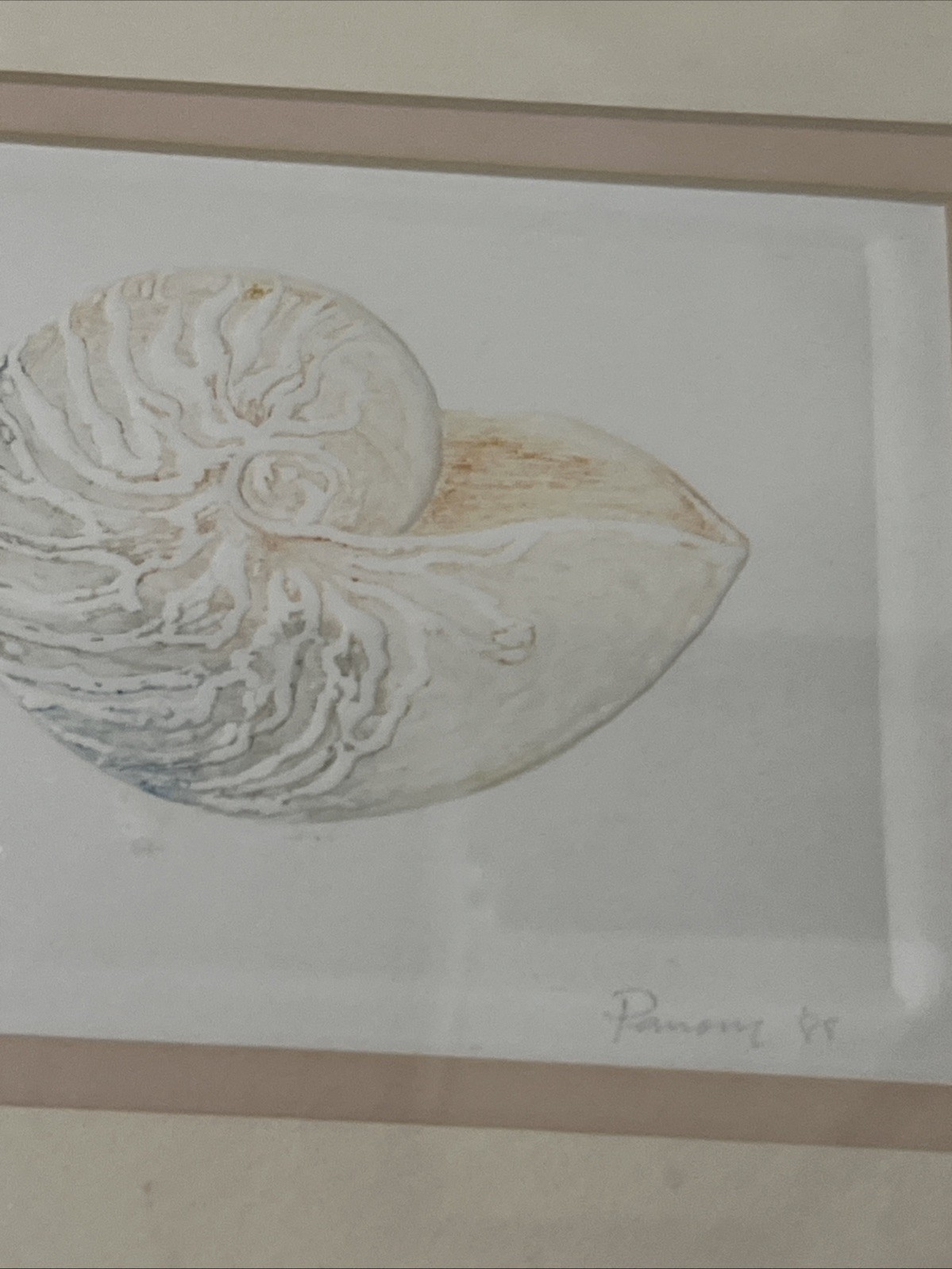 3 Vtg Matted Framed Signed And Dated Embossed Paper With Watercolor Seashells
