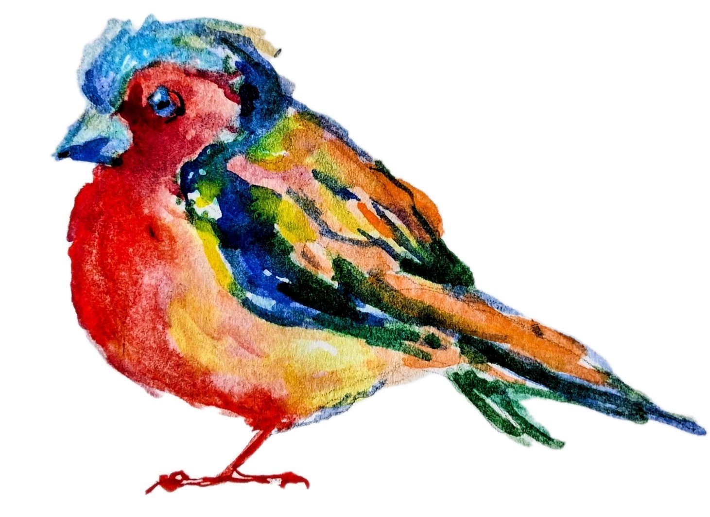 ACEO Colorful exotic Bird art Original Watercolor painting,bird Lover Uniquegift