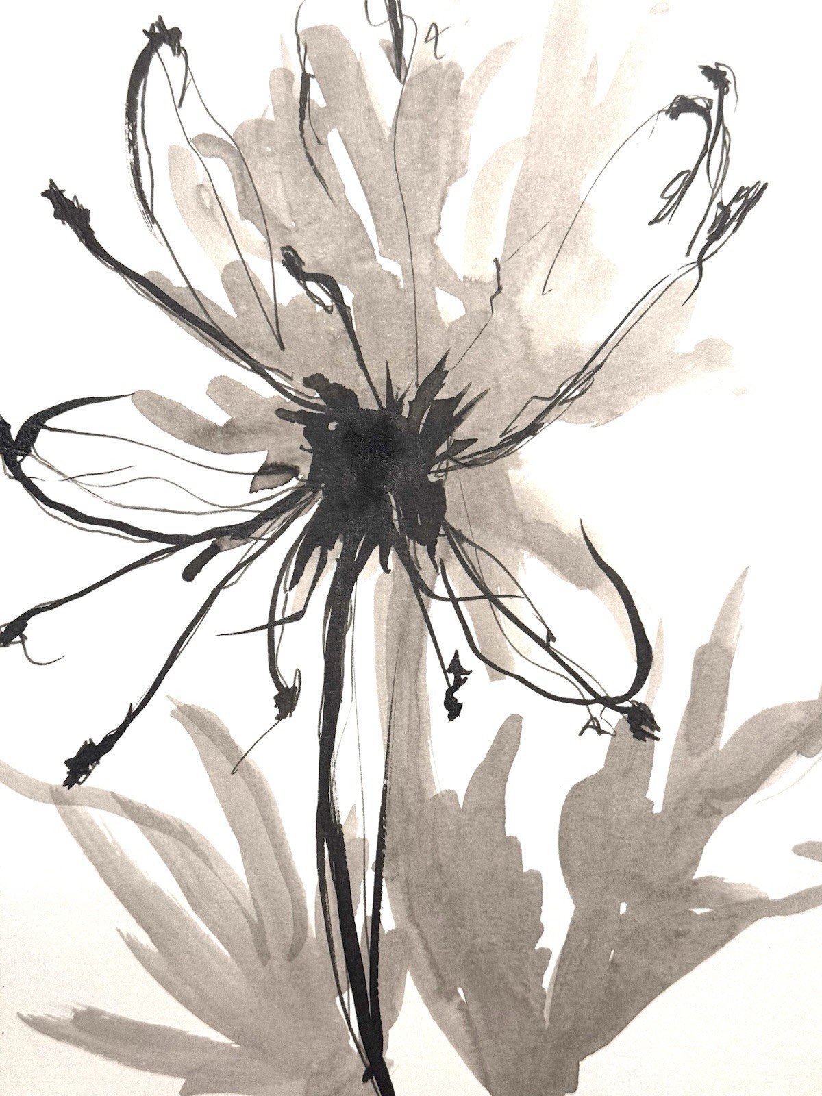 Original Abstract Expressionism 9X12 Monochrome Flower Handmade Signed 11