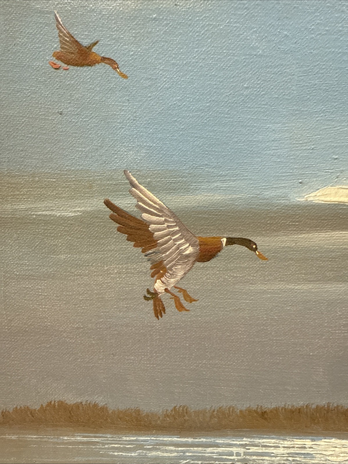 Real Signed Oil On Canvass Painting Lake Shore Ducks Duck Hunting 25×22” Sunset