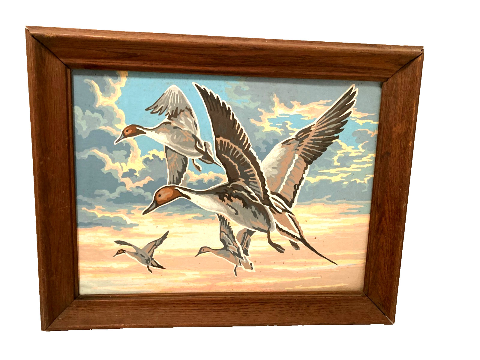 Vtg MCM PBN Hand Paint by Number Northern Pintail Flying Ducks Framed 18.75″x15″