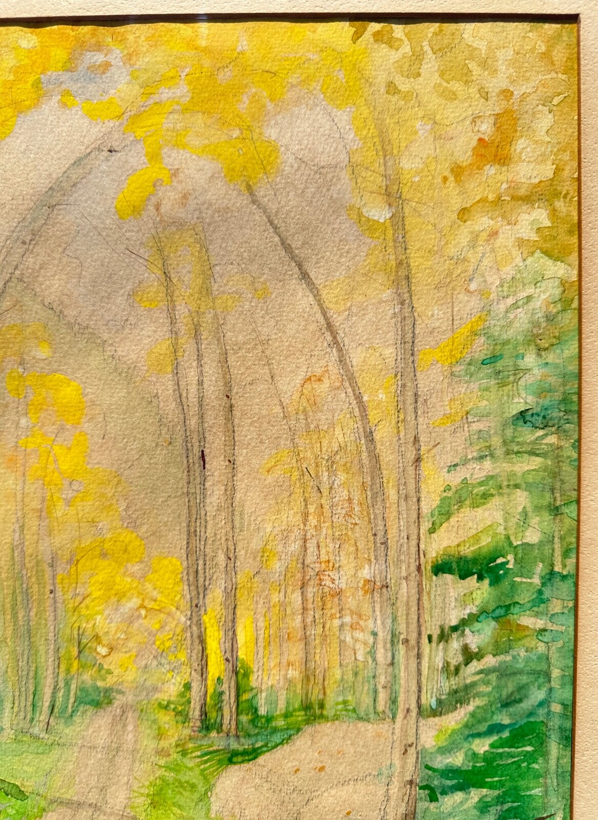 Bert G. Phillips (1868–1956) Watercolor Aspen Forest Path Scene Painting