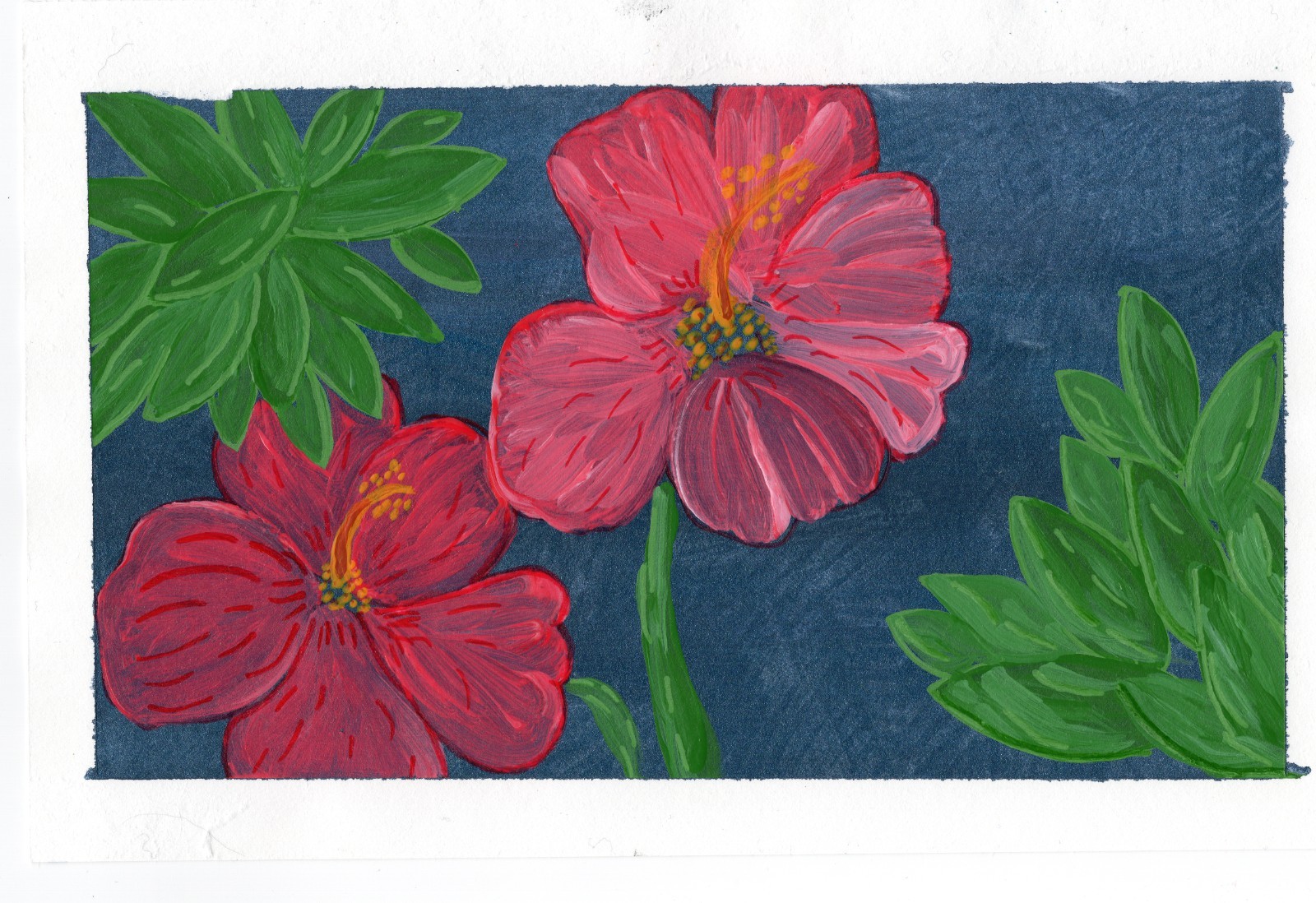 ACEO Limited Edition Art Print Nature Numbered Prints Watercolor Ink 1 of 12