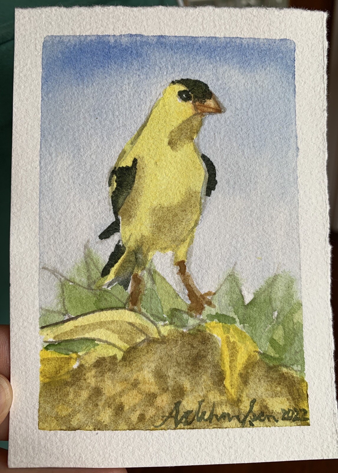 Original watercolor Goldfinch on Sunflower, 5.25 x 3.75 inches, bird painting