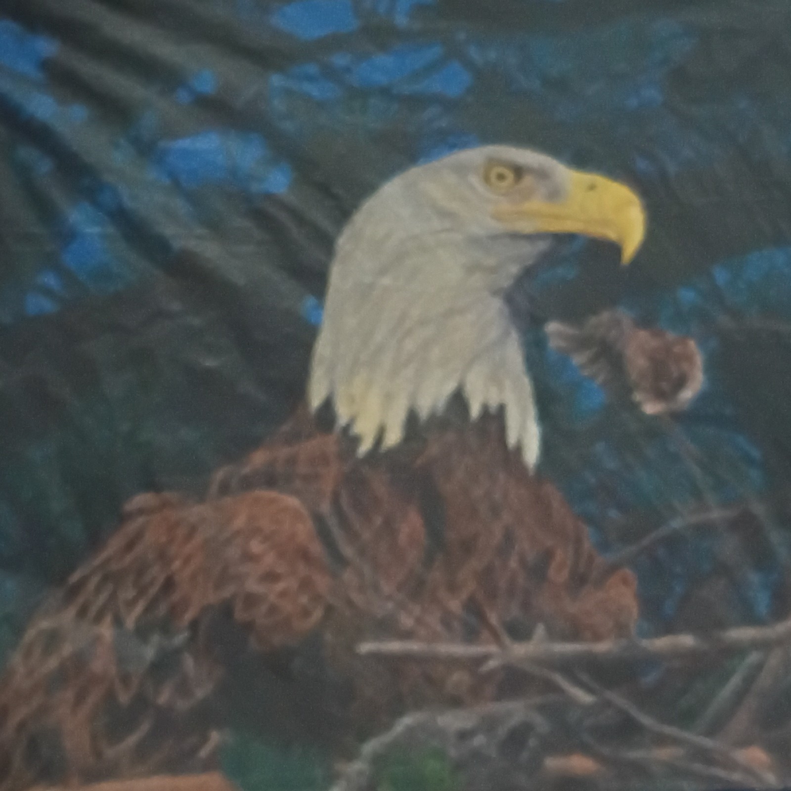 Bald Eagle Realism Painting on Canvas Signed 2013 Unframed