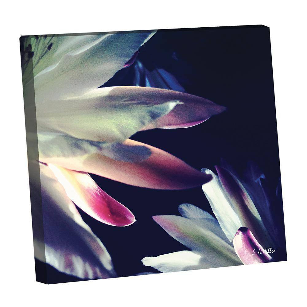 BLOSSOMS TOUCH by Steven A. Heller 1 Piece Unframed Canvas Drawing Print Abstrac