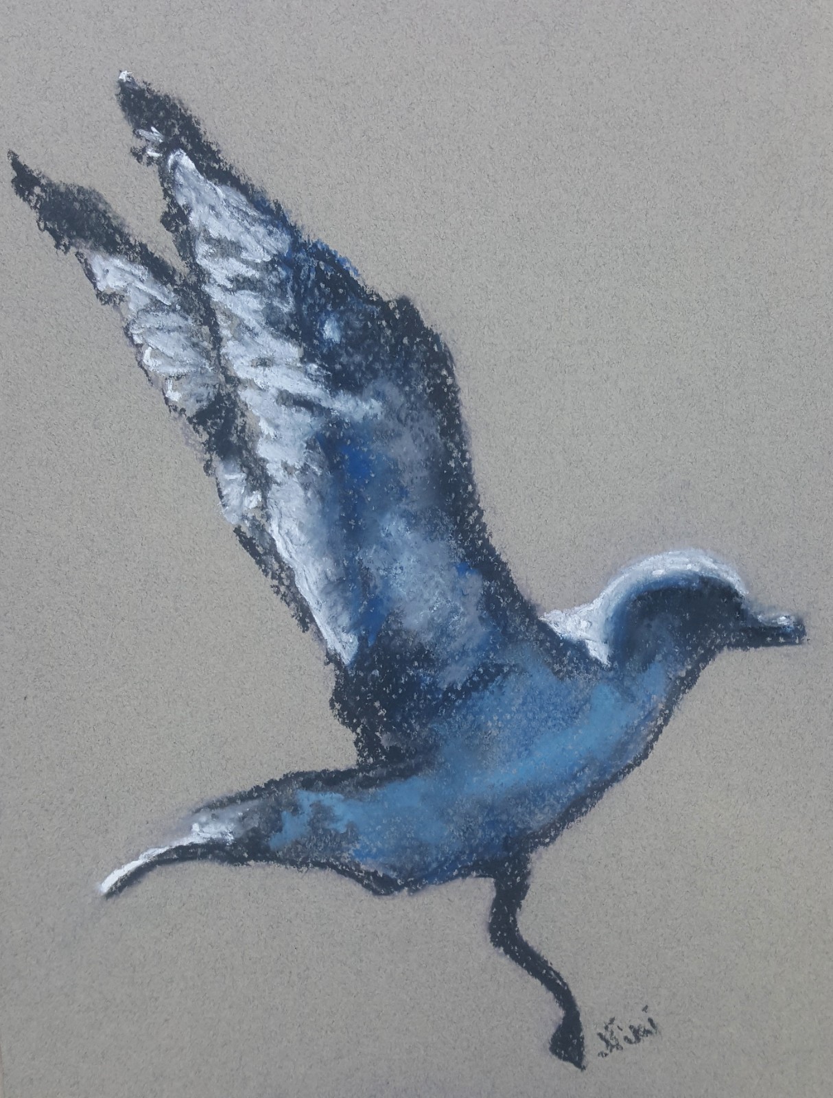 Original Bird Artwork Pastel Seagull Figure California Wildlife Drawing