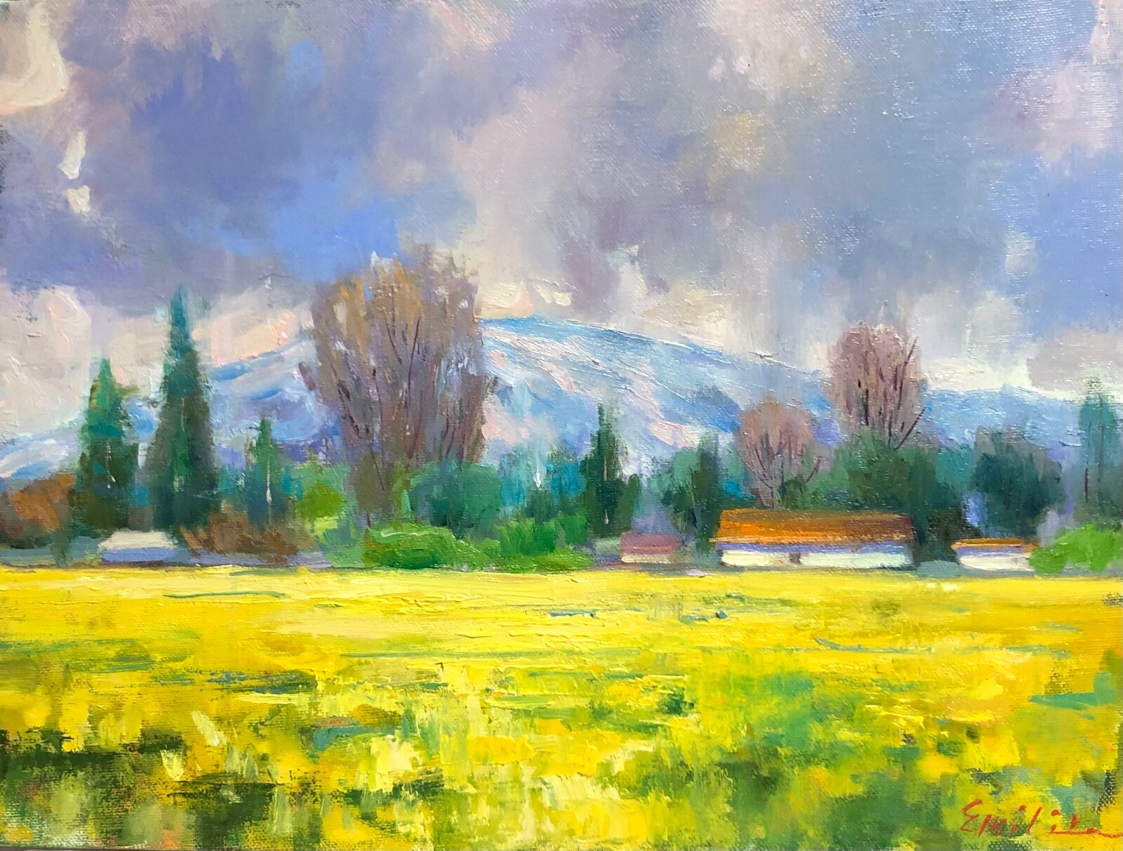 Blooming Daffodils Painting Original Floral Landscape Impressionist Art