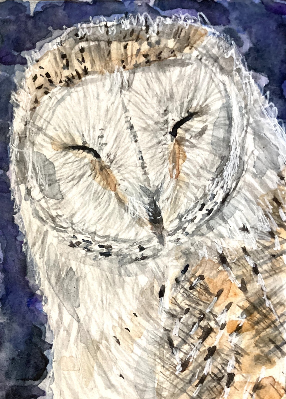Owl bird watercolor original painting ACEO