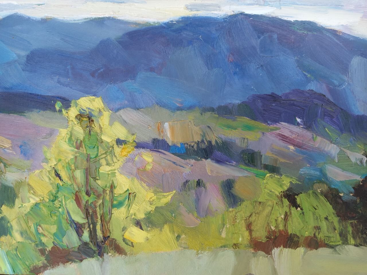 Oil painting Mountain pasture ground Ukrainian painter Cardboard Unframed Art