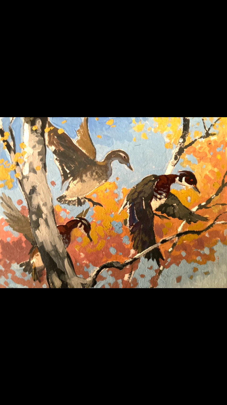 ORIGINAL LOUIS DARLING 1940s OIL PAINTING WOOD DUCKS IN FLIGHT SPORTING BIRD ART