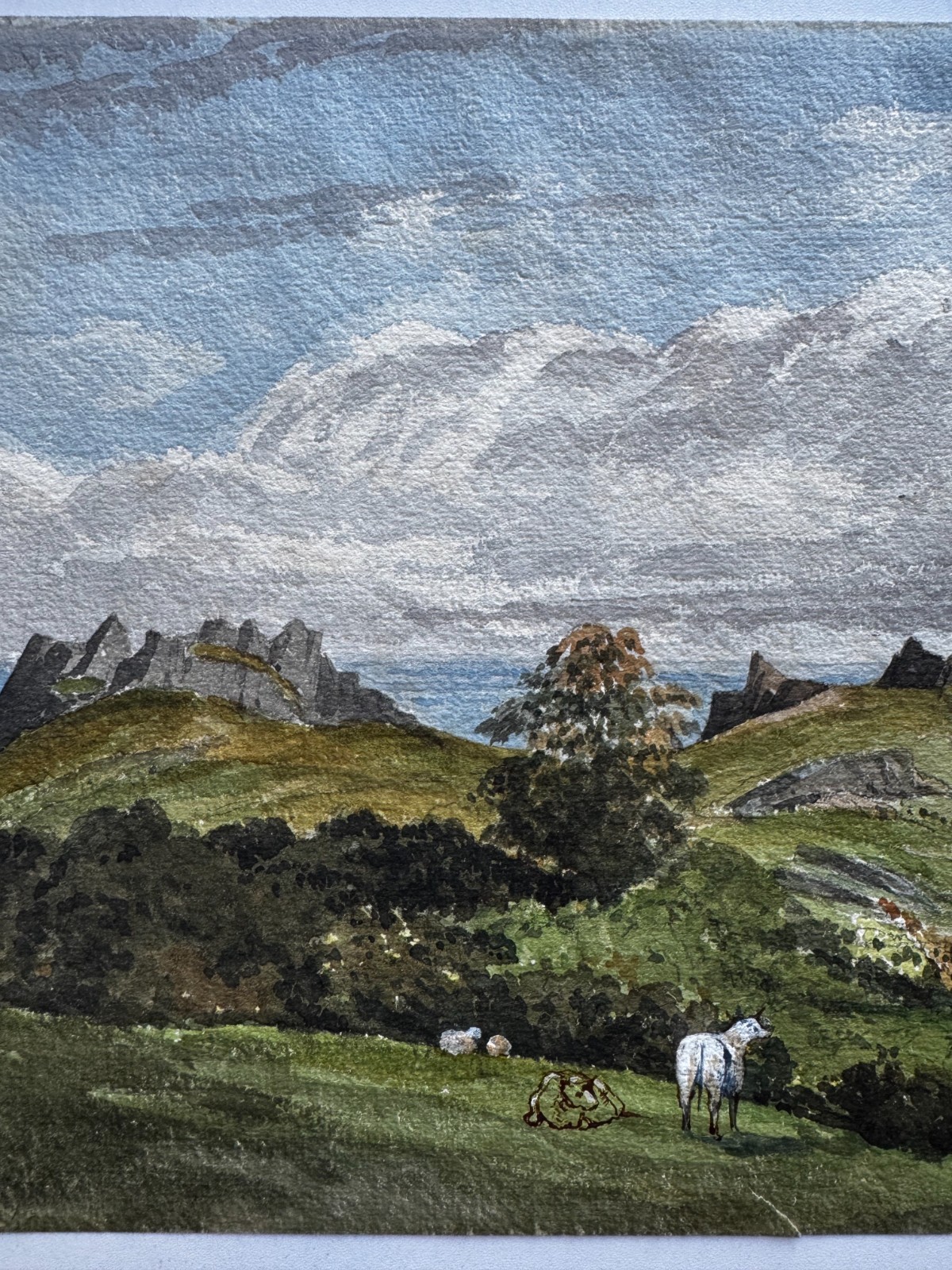 Vintage 19th Century Watercolor Landscape Scenic Painting Cows Meadow Rocky 13×9