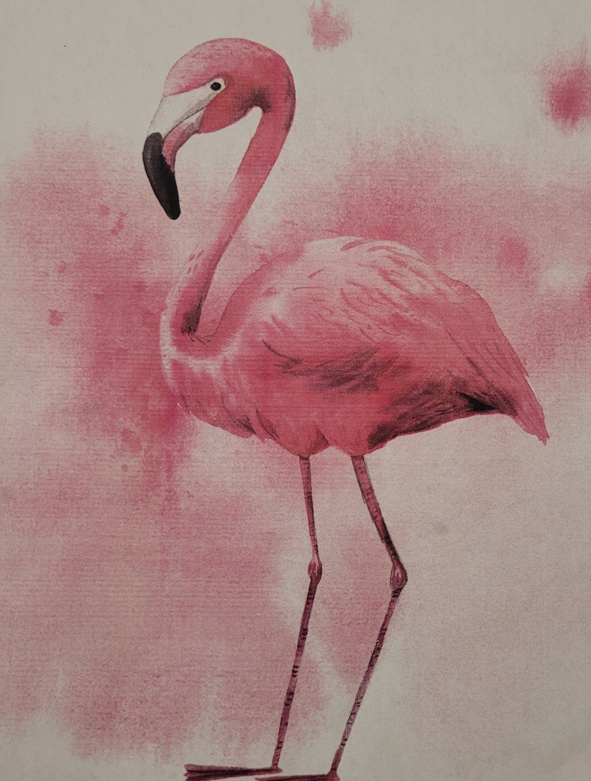 Flamingos! Custom Canvas Artwork Fun Classy & Colorful Excellent Condition!