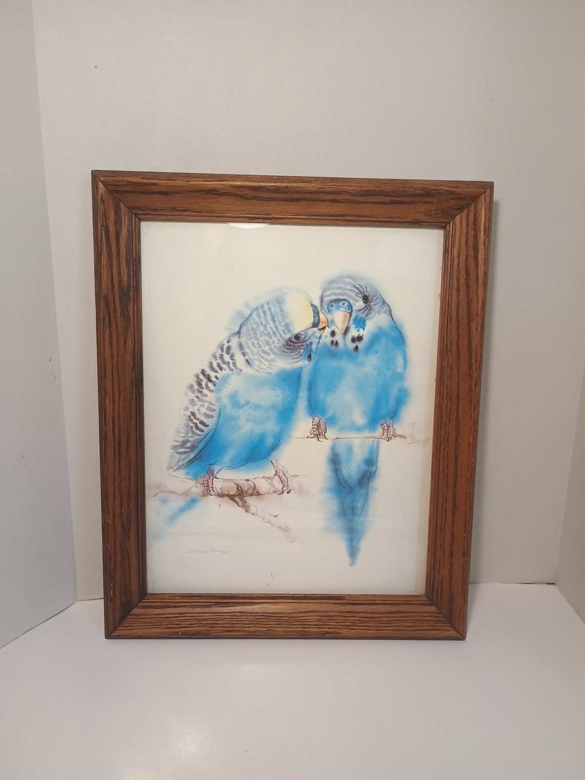 Water Color Art Budgie Love Birds Framed And Signed 16 × 13 Parakeets Kissing