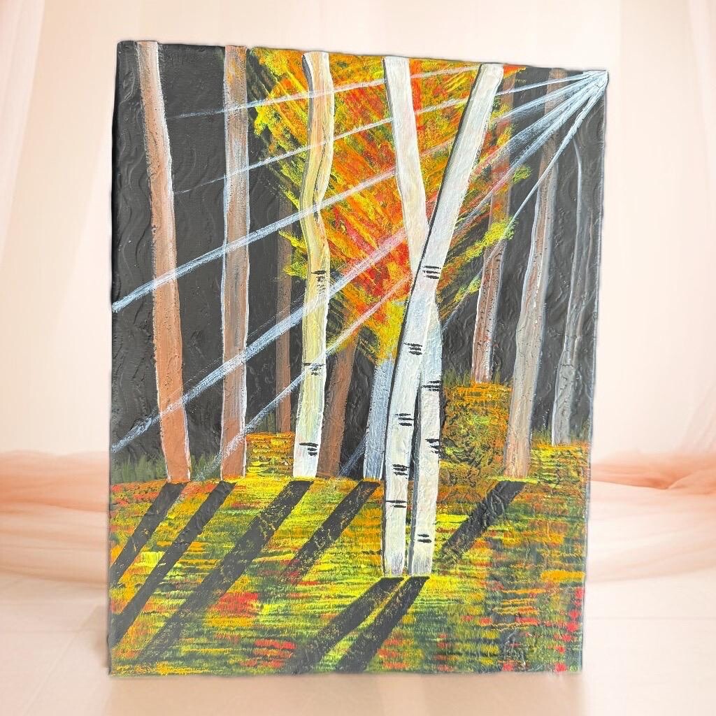Forest Illumination: Sunbeams Through Birch Trees
