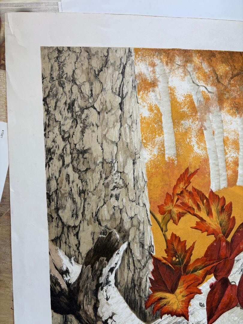 Autumn in the FOREST Hand Signed Limited Edition Artwork Print 57/200