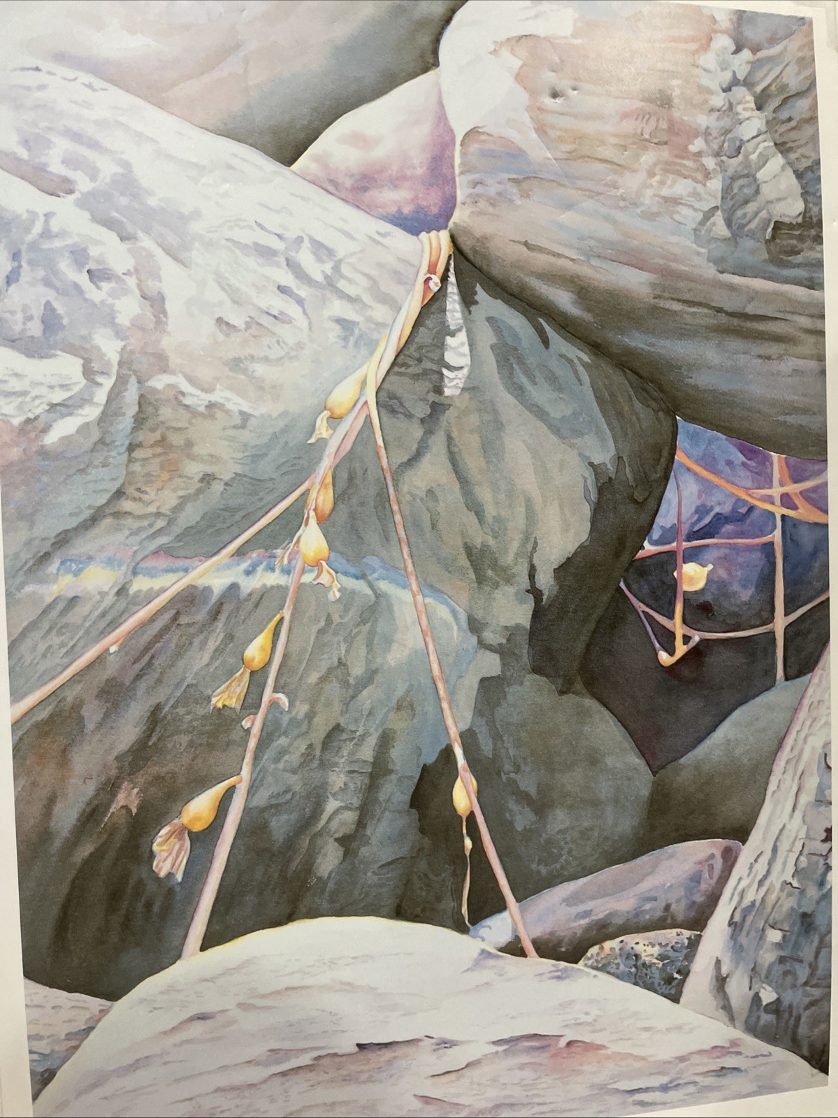 Cabrillo «After The Storm»1986 California Signed Linda Gunn 28.5″X20»
