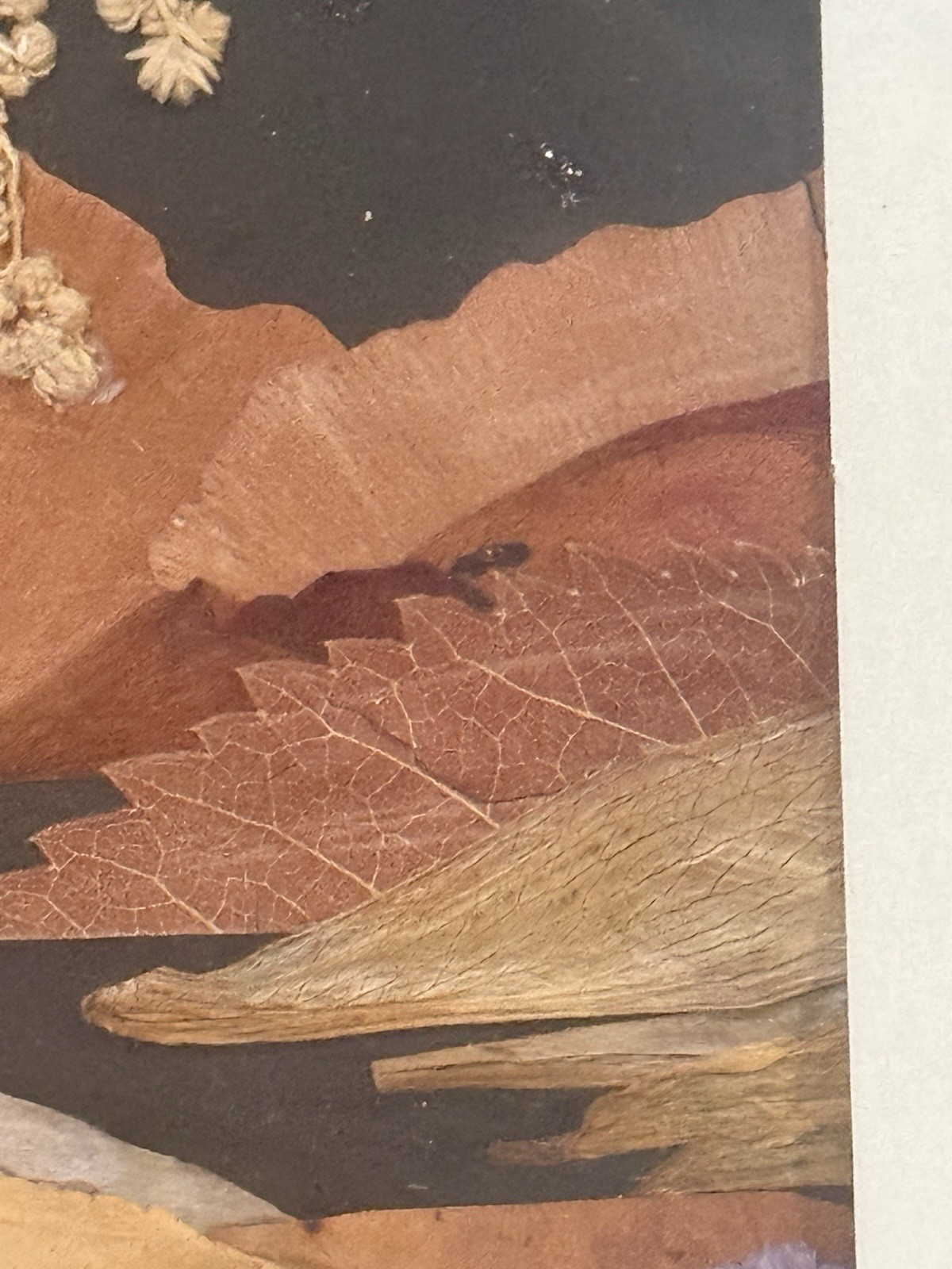 Larisa THANEY Original Pressed BOTANICAL ART FRAMED Autumn LANDSCAPE SIGNED 8×10