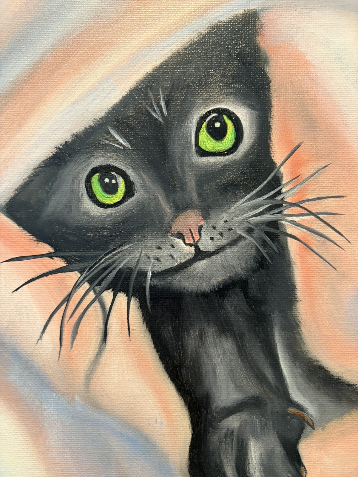 Original oil painting 11 x 14 inch black cat in blanket signed canvas- free ship