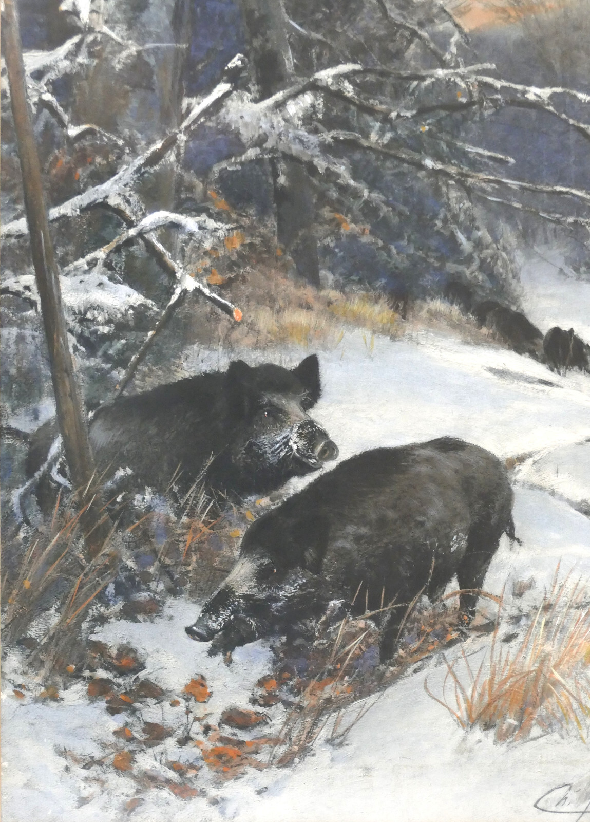 Christian Kröner Gouache – Paper «Wild Boar Rotto» 1893 Framed 53.5 x 37.5 cm