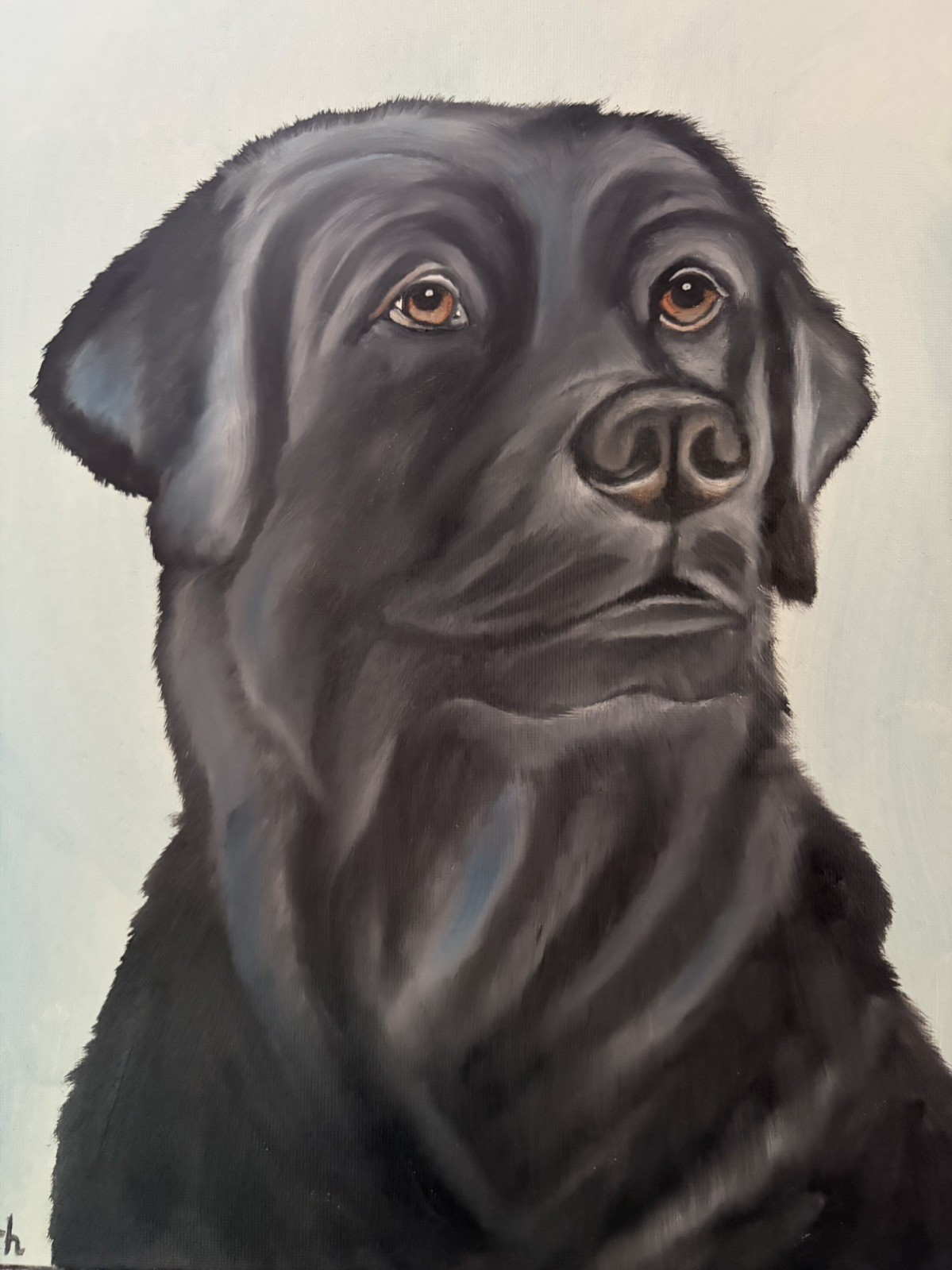 Original oil painting 11 x 14 inches handsome black Labrador retriever dog