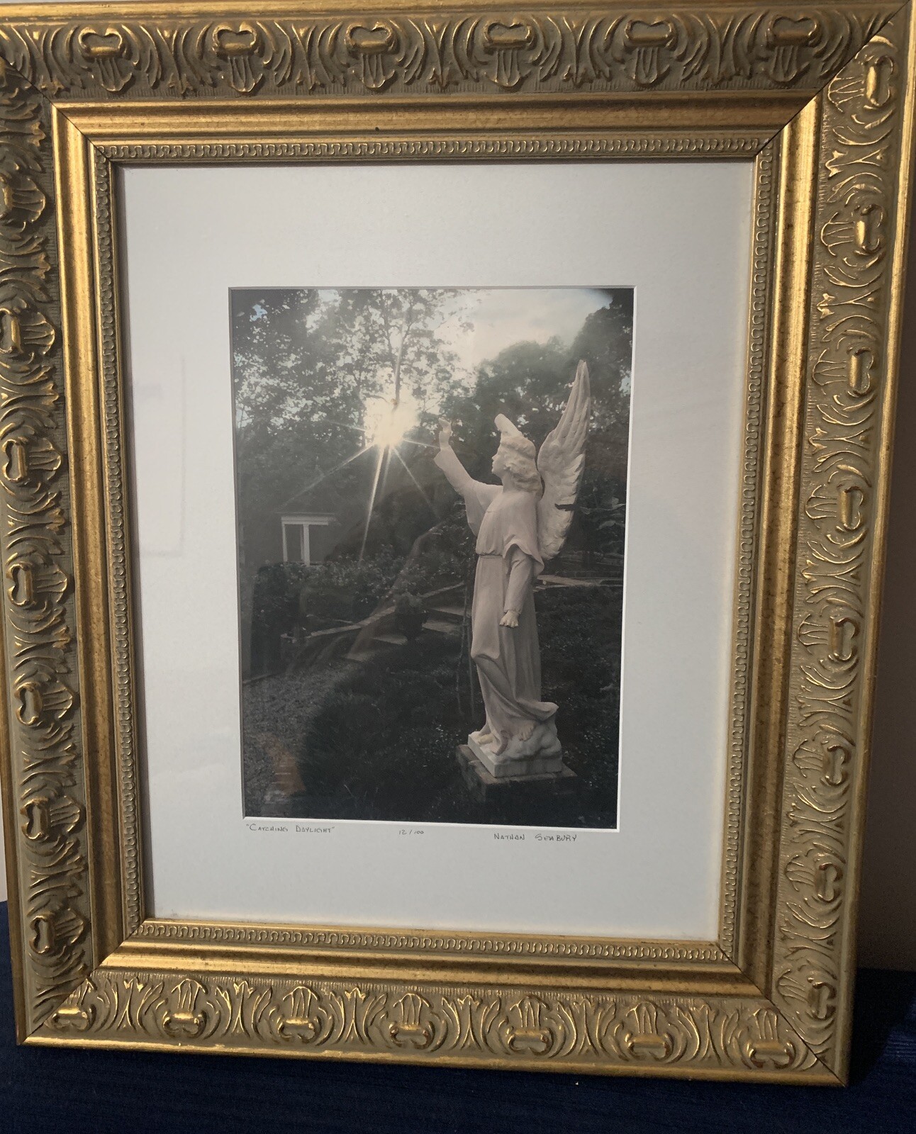 Gold Framed Photo “Catching Daylight” Nathan Seabury Sign & Numbered 15x18x1.5