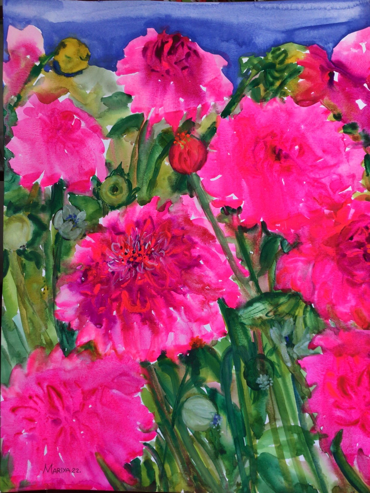 PINK DAHLIA FLOWERS Original Watercolor Painting