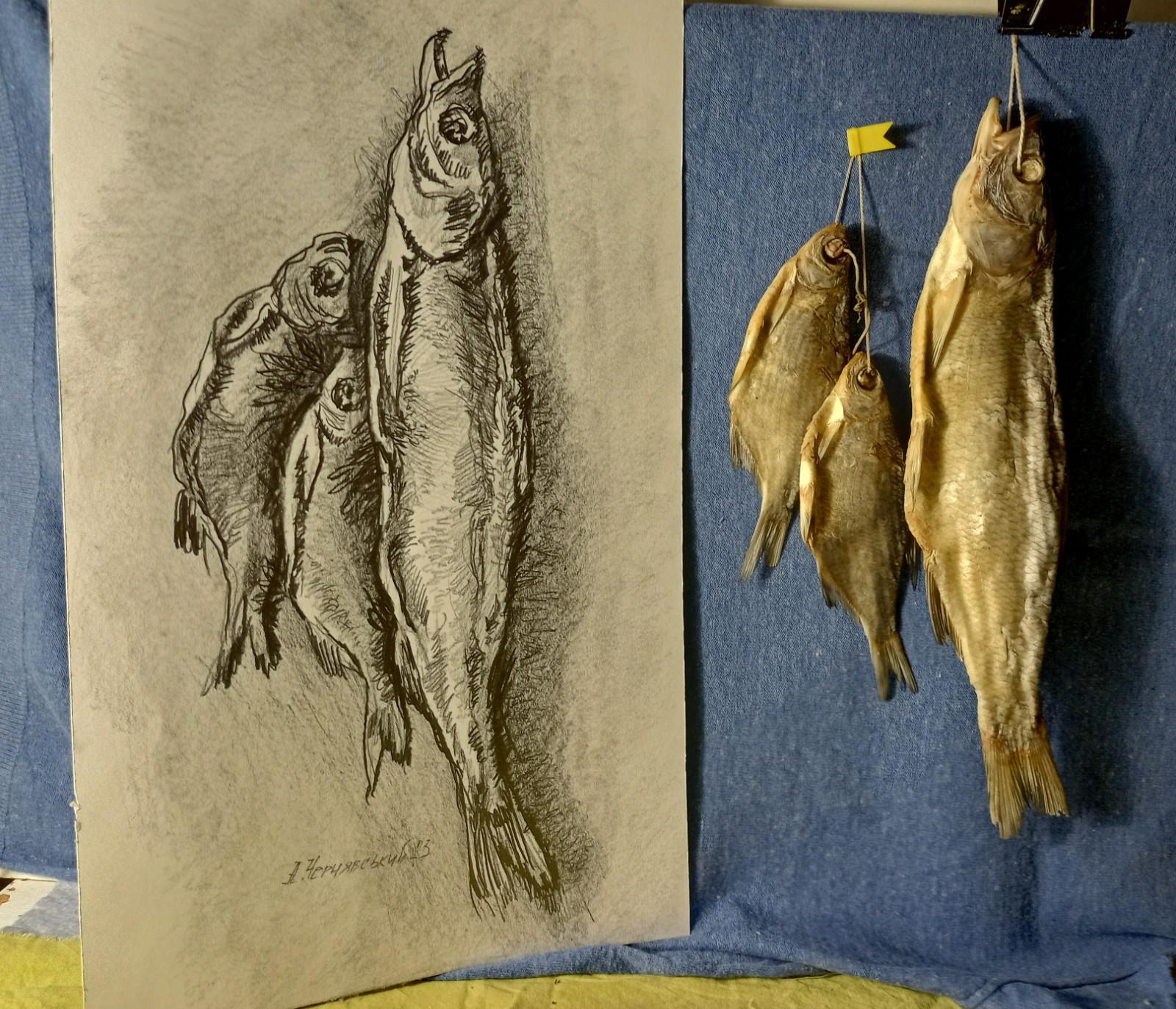 Fish Graphics Original Art Impression Paper Pensil Painting 16 x 8 in