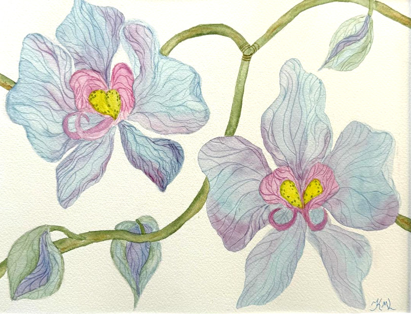 PAINTING WATERCOLOR 11X14 AND MAT 16X20 FLOWER ORCHID BLUE PURPLE ORIGINAL ART