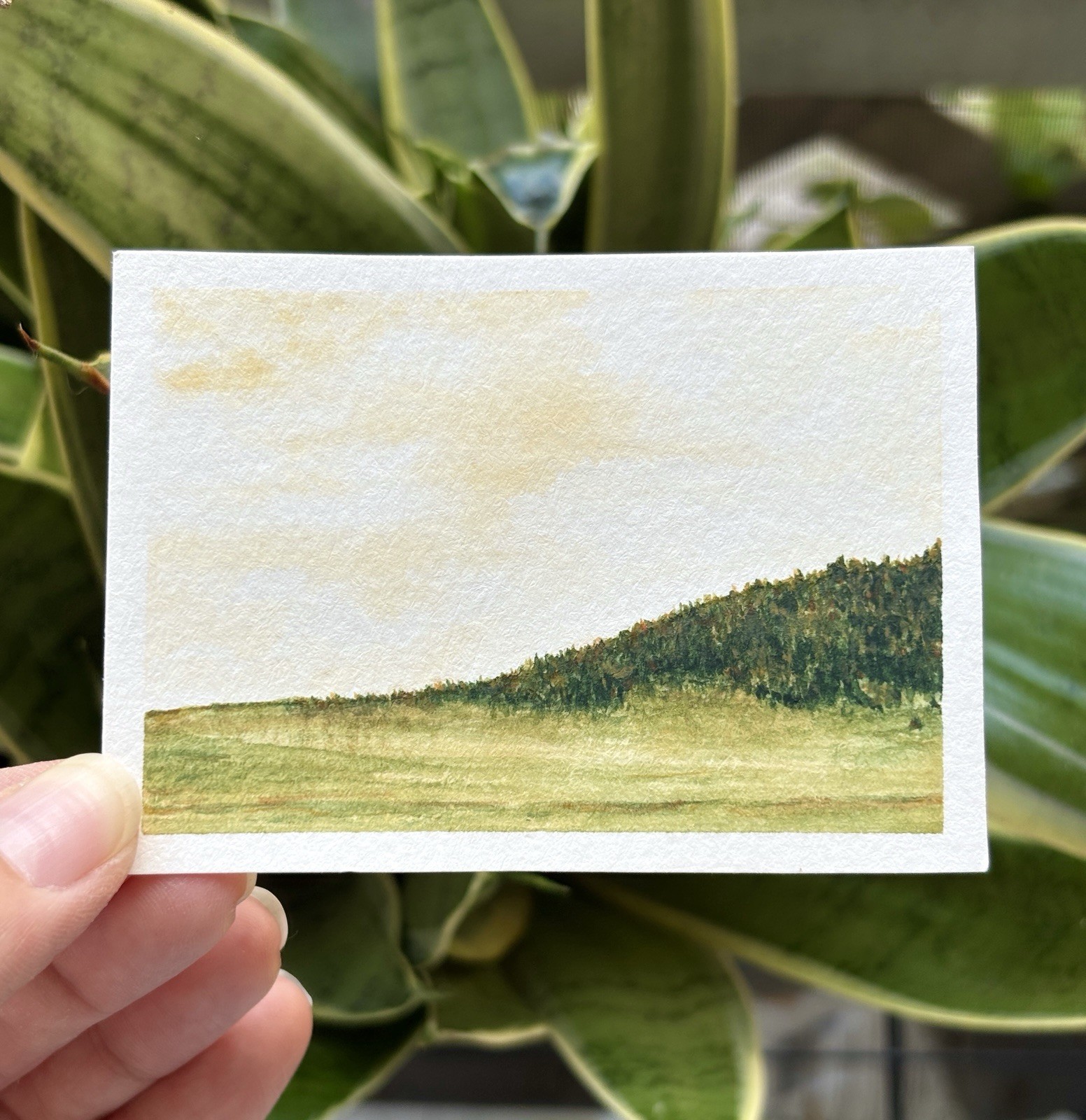Miniature Minimalism Watercolor Landscape Painting ACEO original one of a kind