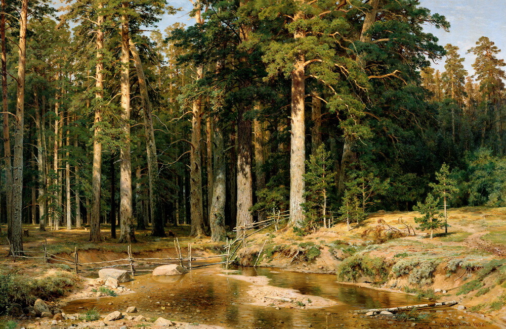 Forest by Ivan Shishkin Art Giclee Printed Oil Painting Print