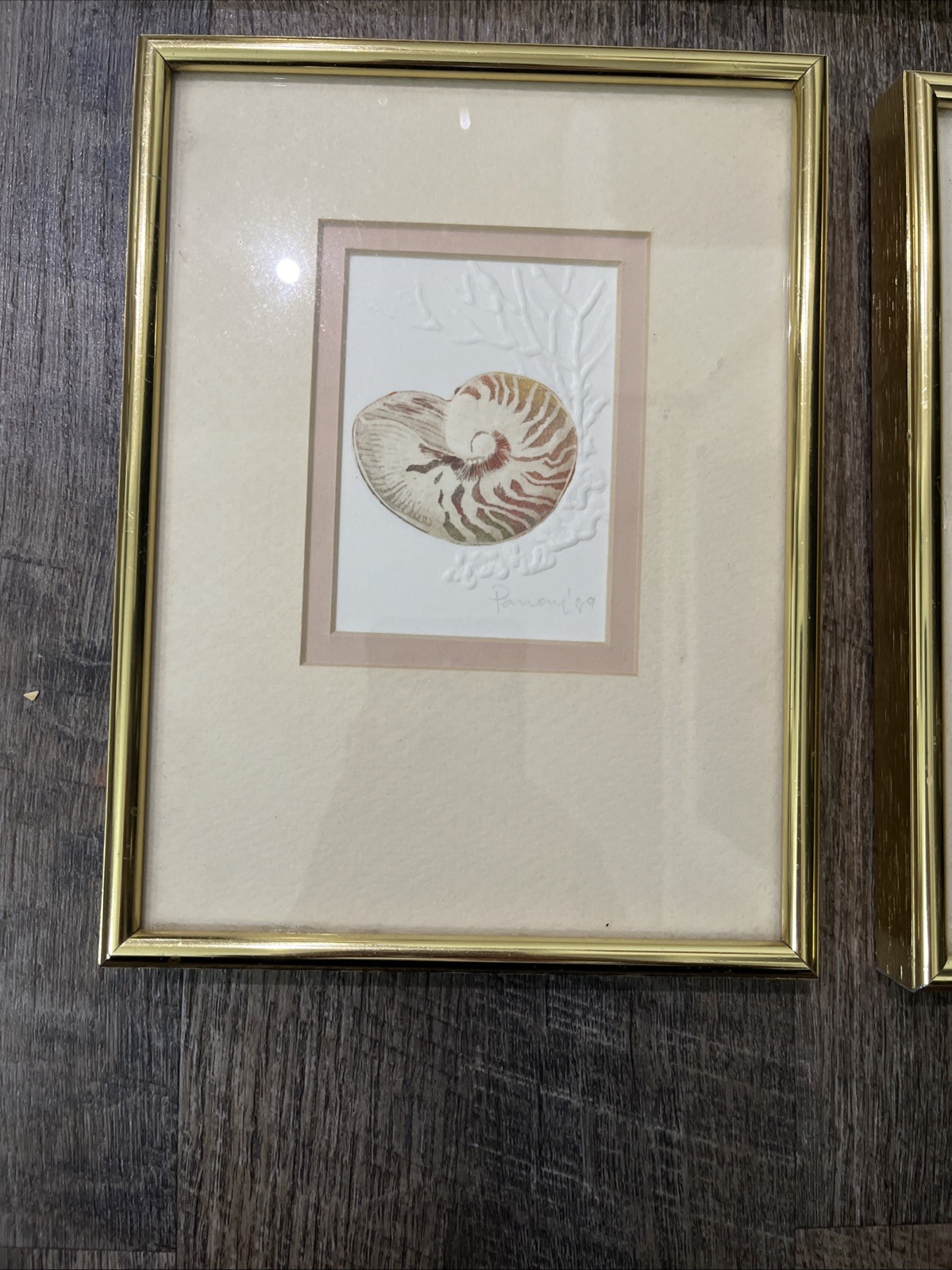 3 Vtg Matted Framed Signed And Dated Embossed Paper With Watercolor Seashells