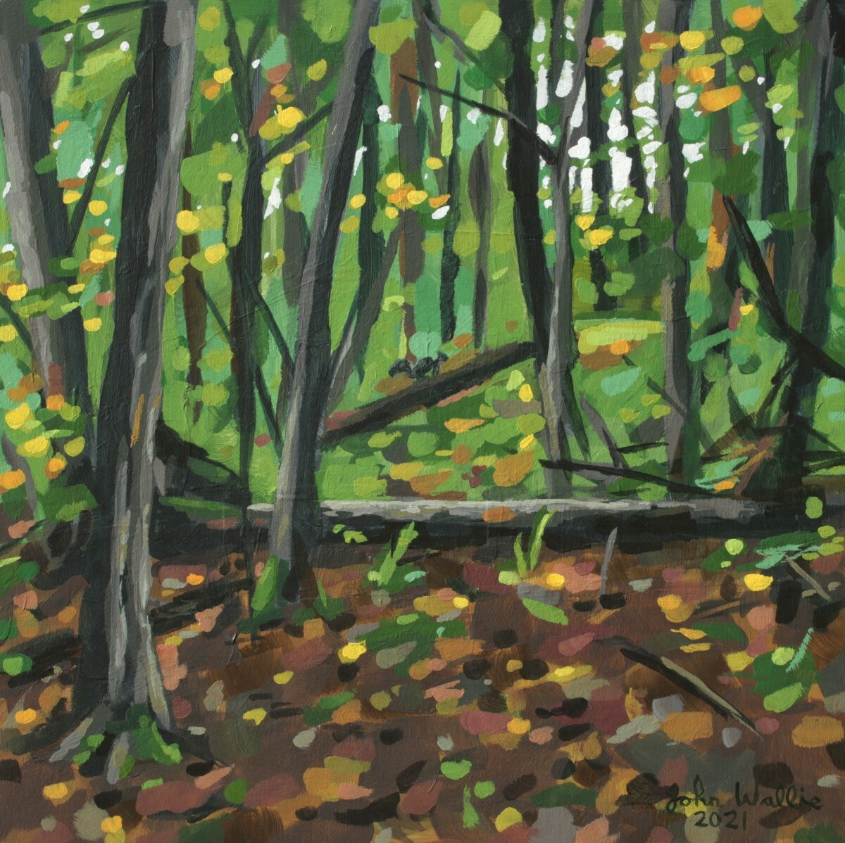 Original Plein Air Painting «Fallen Tree in Woods» – 10 x 10 inch by John Wallie